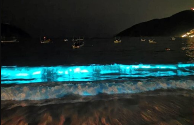 ¡MÁGICO! Playas de Acapulco brillan con bioluminiscencia en las noches (FOTOS)