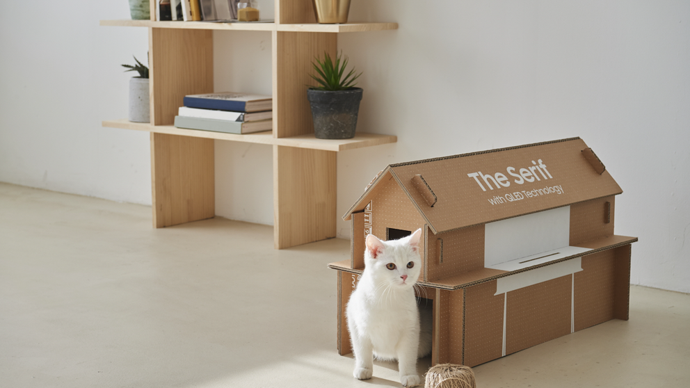 Casa para gatos: La apuesta ecológica de Samsung