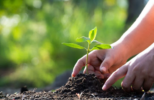 Panamá ofreció sus iniciativas para hacer frente al cambio climático