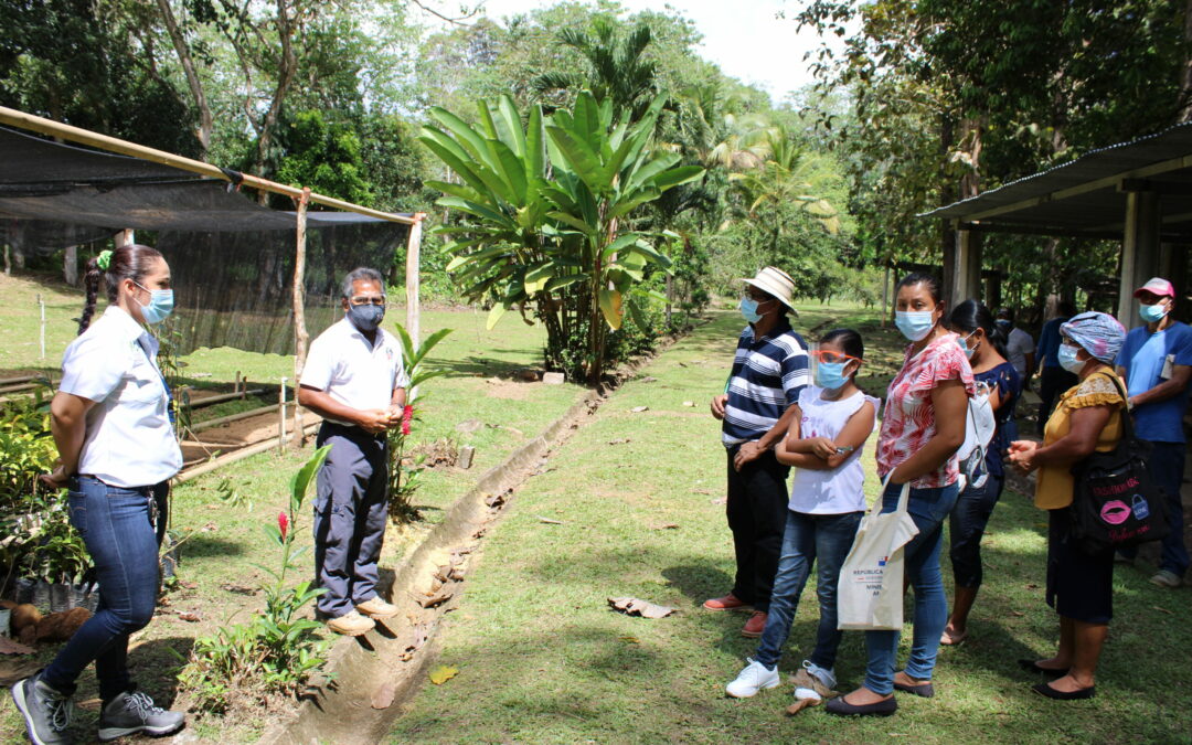 Instan a mejorar la Educación Ambiental en Panamá