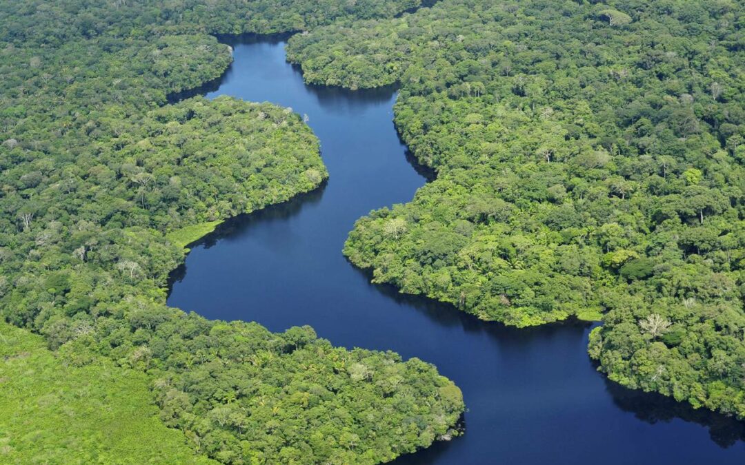 Discutirán estrategias para recuperar la Amazonia
