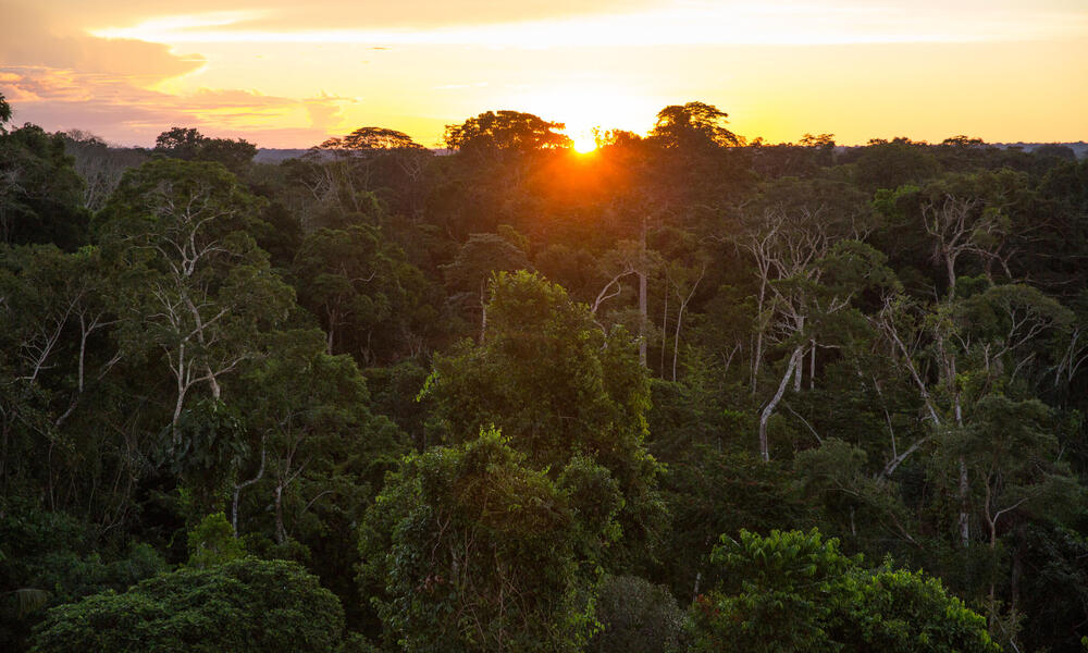 Grupo multisectorial intervendrá la Amazonía para detectar actividades ilegales