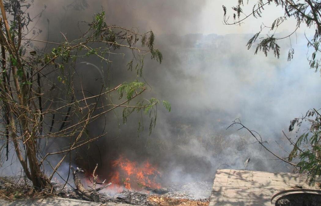 Aumentan un 25% los incendios forestales en Cartagena
