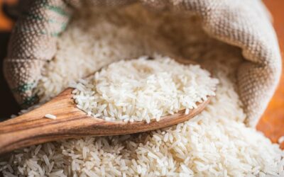 Revisan el uso de fondos para las importaciones de arroz en Panamá
