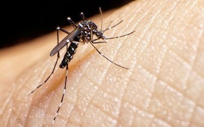 El dengue en Centroamérica deja gran cantidad de muertos