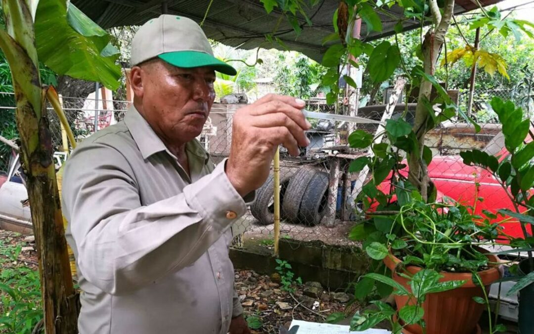 Aumentan los casos de dengue en San Miguelito, Panamá