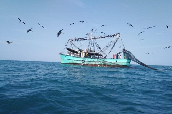 Identificaron una embarcación pescando en zona protegida de Panamá