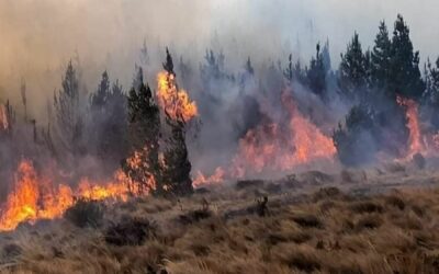 El Cambio Climático hace más cálida y seca a Sudamérica