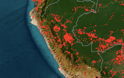 Gobierno peruano decreta estado de emergencia en varias regiones por incendios forestales