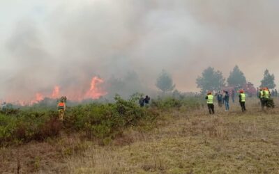 Incendios forestales en Áncash, Apurímac, Cusco, La Libertad y Lima fueron extinguidos