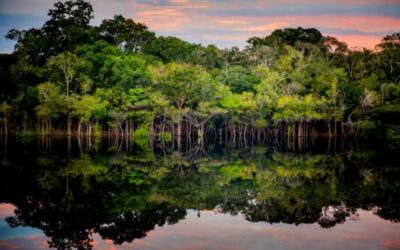 Colombia tiene un plan para contener la deforestación de Amazonía