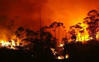 Perú ratificó su solidaridad a Ecuador ante incendios forestales