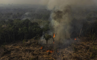 Humo por incendio en la Amazonía brasilera se expande en el continente