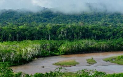 Río amazonas llega a mínimos históricos por déficit hídrico