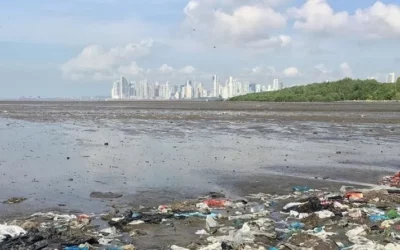 Limpieza del Mirador de las Aves en Costa del Este de Panamá reunirá más de 3 mil voluntarios